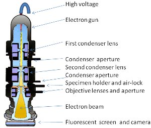 Electron Microscope